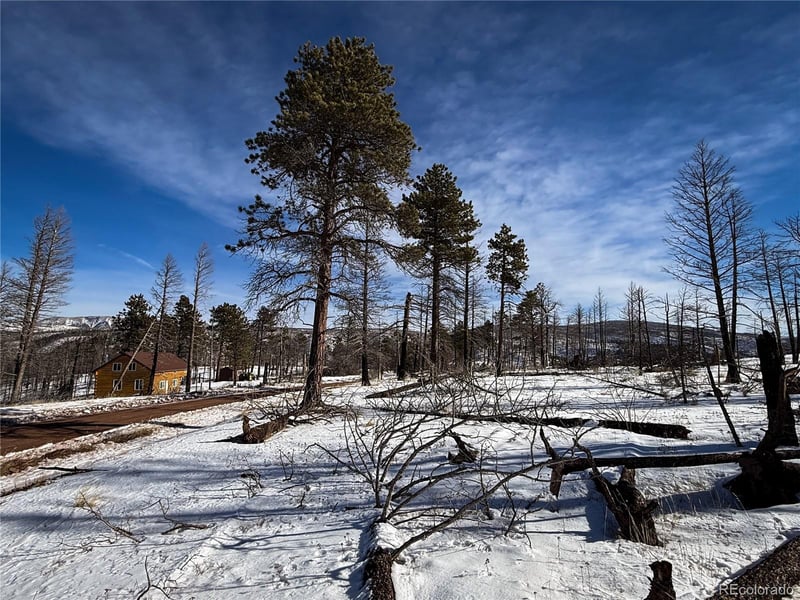 LOT 591 Leslie Loop, Fort Garland, CO 81133