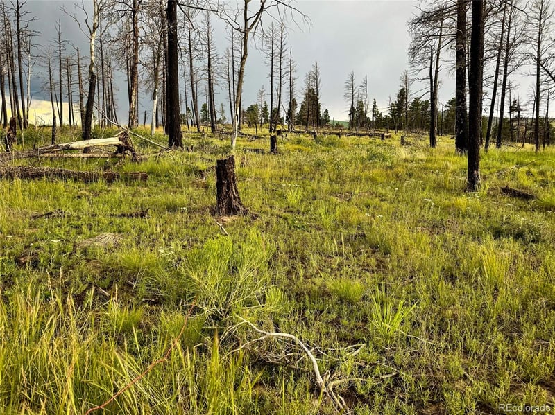 LOT 591 Leslie Loop, Fort Garland, CO 81133