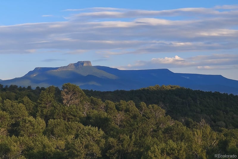 14585 Indian Spring Dr, Trinidad, CO 81082