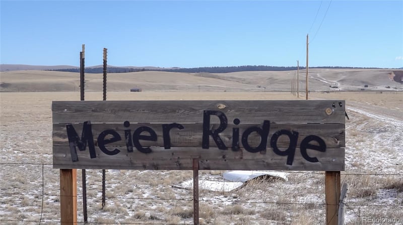3164 Meier Ridge Trl, Fairplay, CO 80440