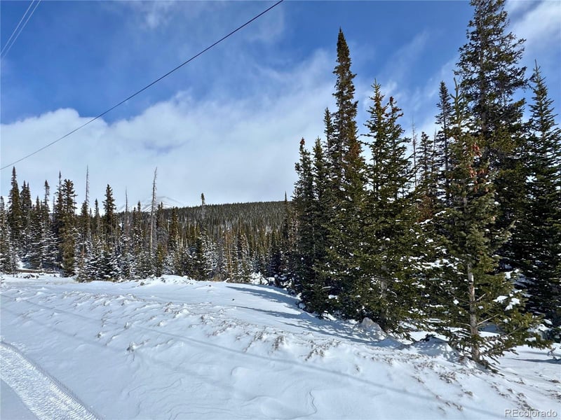 72 Sunshine Dr, Fairplay, CO 80440