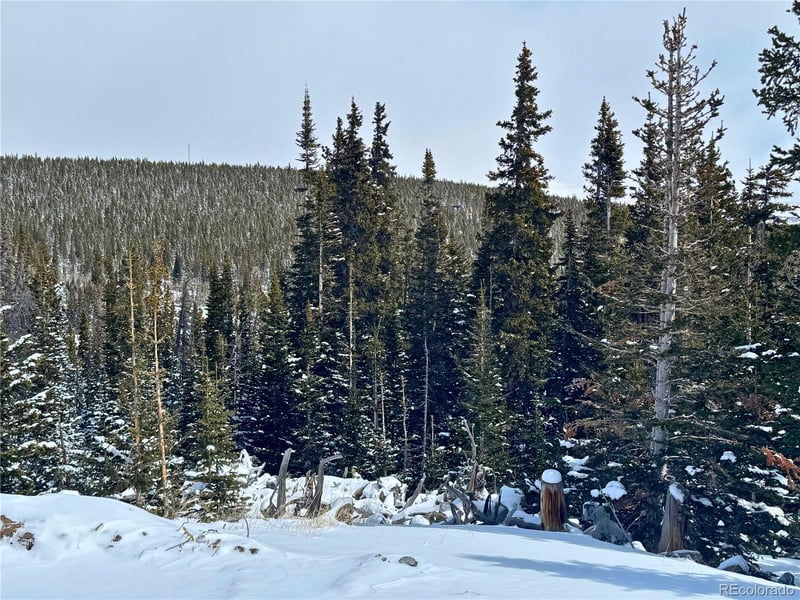 72 Sunshine Dr, Fairplay, CO 80440