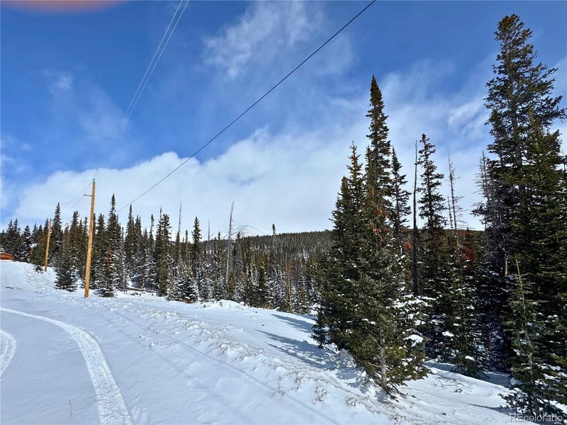 72 Sunshine Dr, Fairplay, CO 80440