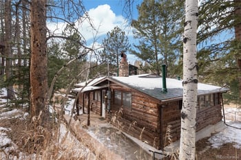 10783 Fox Trot Ln, Conifer, CO 80433