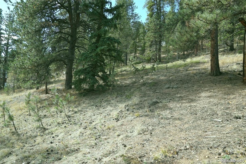 188 Brown St, Bailey, CO 80421