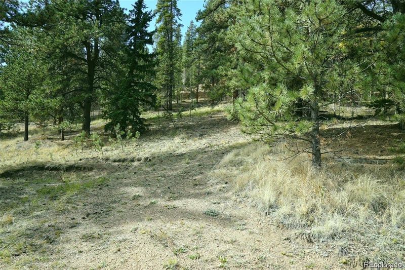 188 Brown St, Bailey, CO 80421