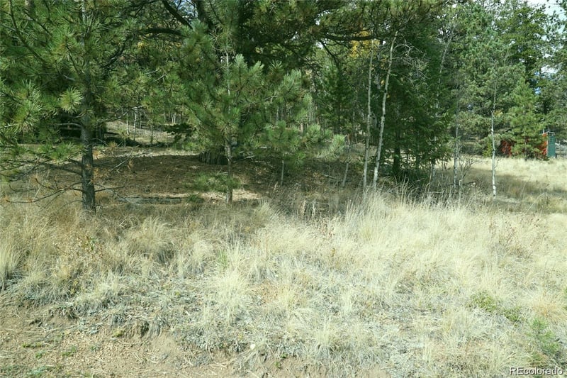 188 Brown St, Bailey, CO 80421