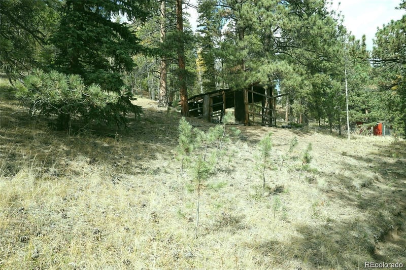 188 Brown St, Bailey, CO 80421