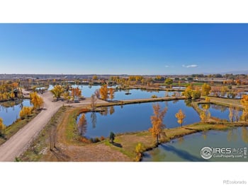 5973 Holstein Dr, Windsor, CO 80528