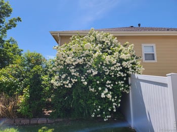 701 62nd Ave Ct, Greeley, CO 80634