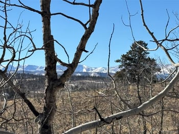 29 Strelets Way, Como, CO 80432