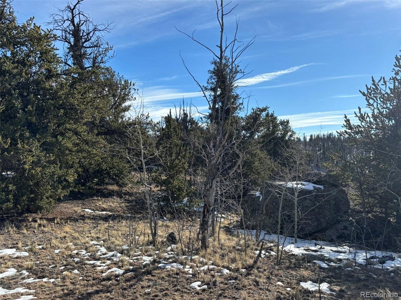 29 Strelets Way, Como, CO 80432