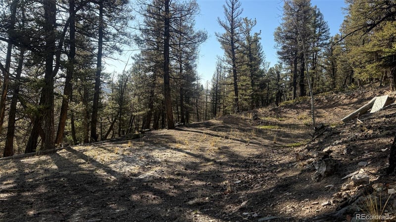 3132 Middle Fork Vi, Fairplay, CO 80440