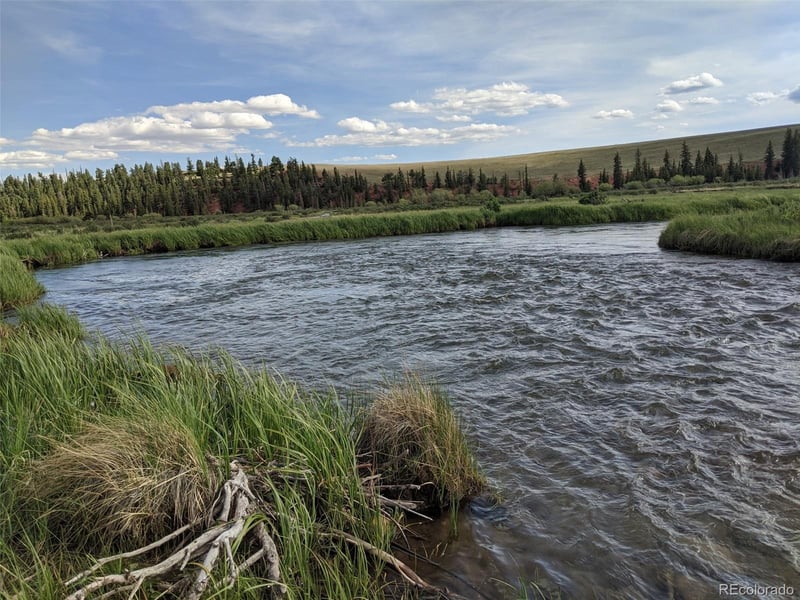 3132 Middle Fork Vi, Fairplay, CO 80440