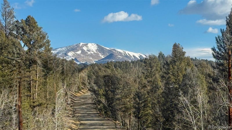 3132 Middle Fork Vi, Fairplay, CO 80440