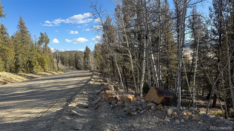 3132 Middle Fork Vi, Fairplay, CO 80440