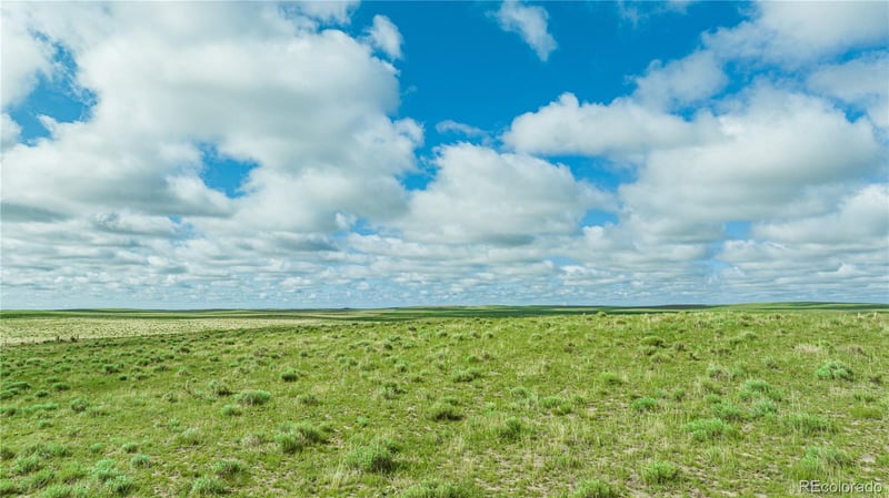 Squirrel Creek Rd, Colorado Springs, CO 80928