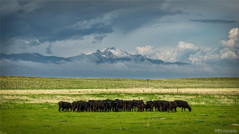 Squirrel Creek Rd, Colorado Springs, CO 80928