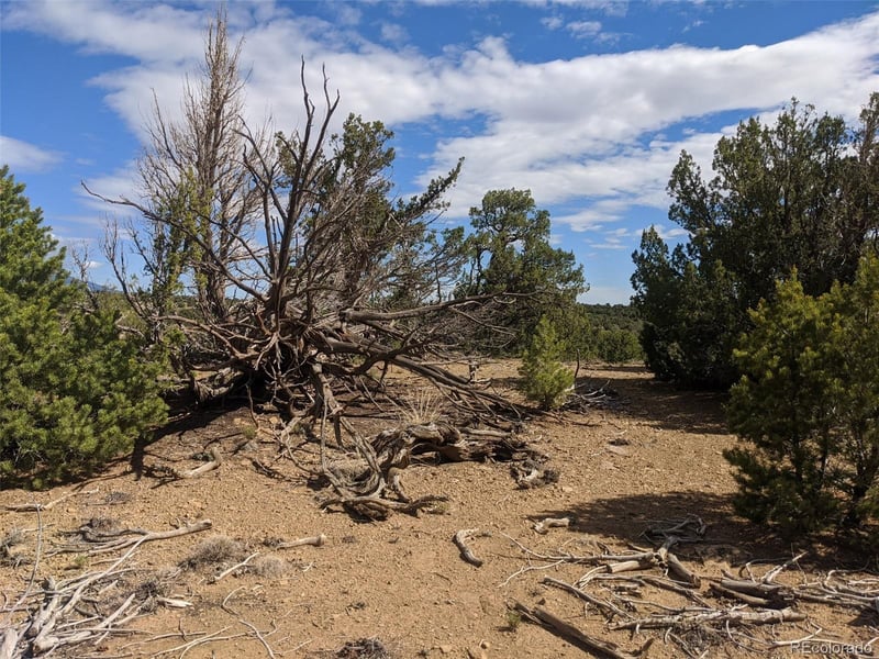 623 Cello Azui Dr, Walsenburg, CO 81089