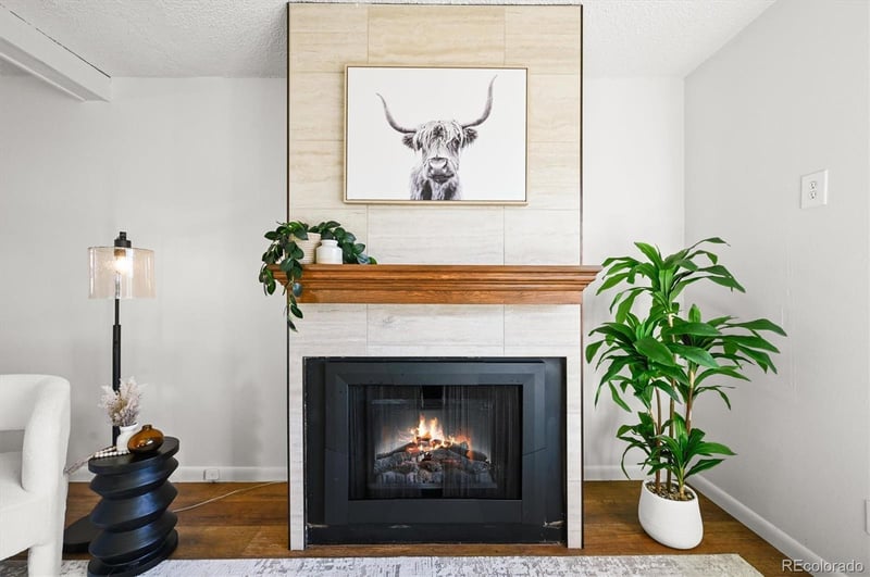 7137 Webster St, Littleton, CO 80128