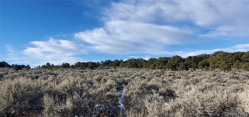 Lot 7265 Tiernan Rd, Fort Garland, CO 81133