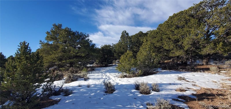 Lot 7265 Tiernan Rd, Fort Garland, CO 81133