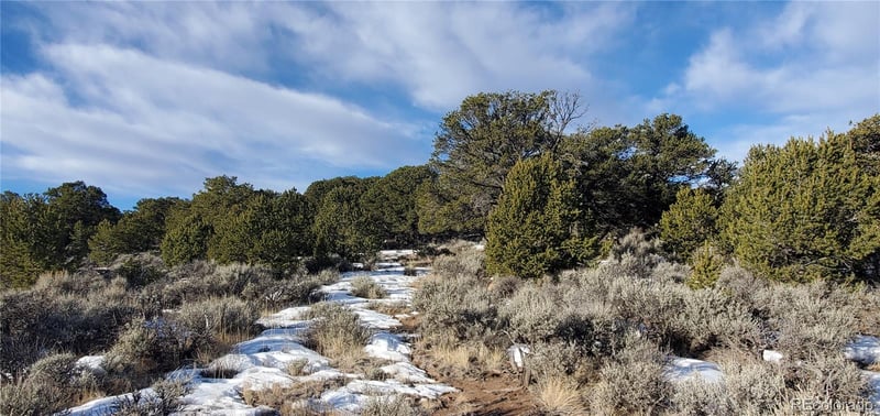 Lot 7265 Tiernan Rd, Fort Garland, CO 81133