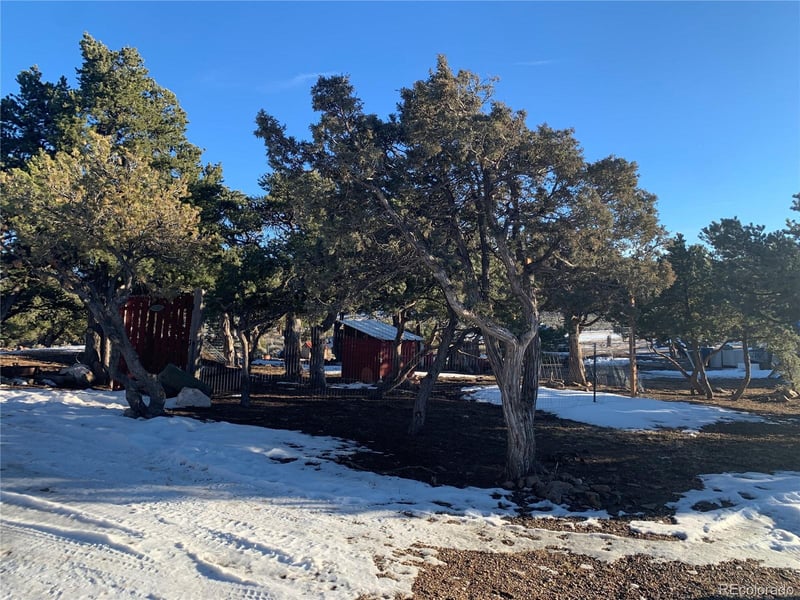 16385 Eagle Nest Rd, San Luis, CO 81152