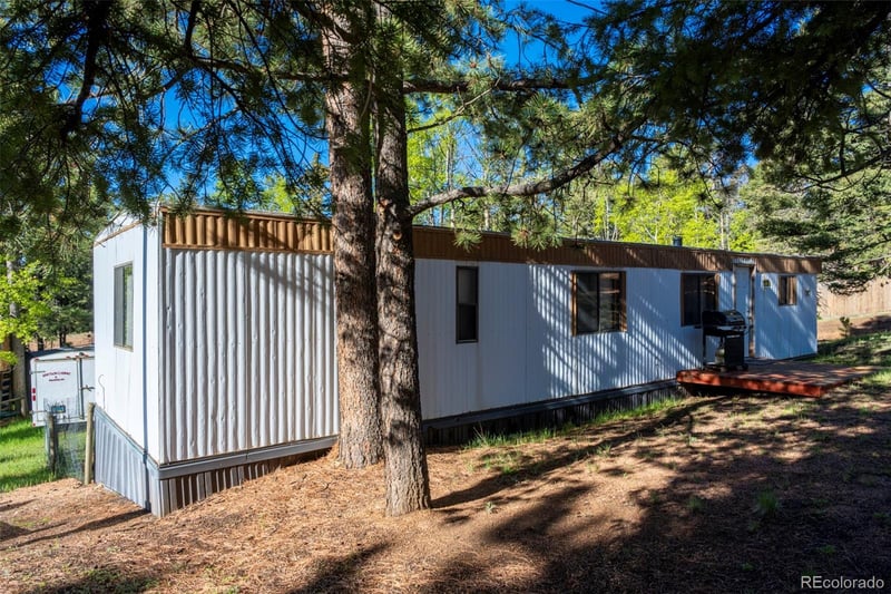 310 Blossom Rd, Woodland Park, CO 80863