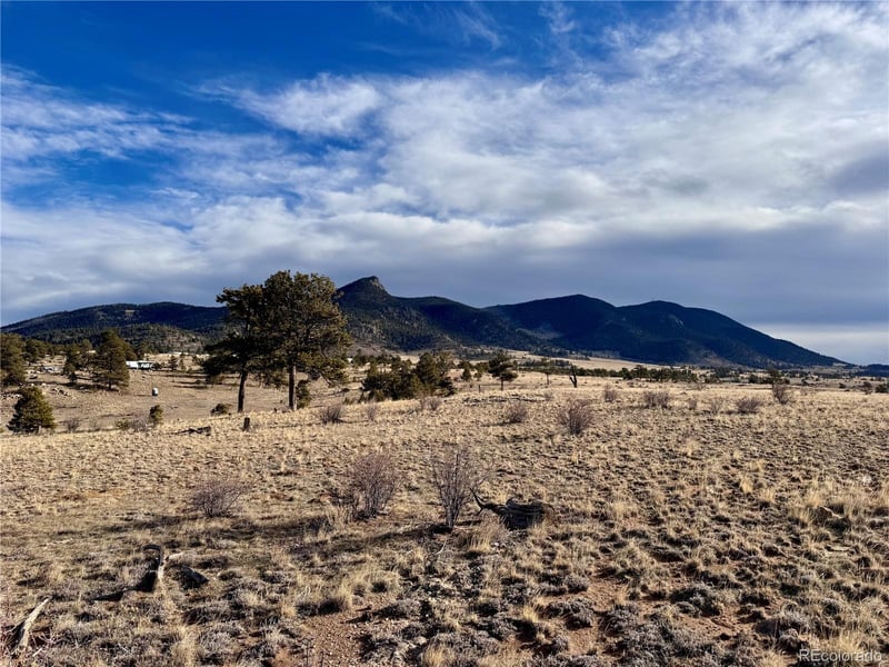 10620 Routt Rd, Lake George, CO 80449