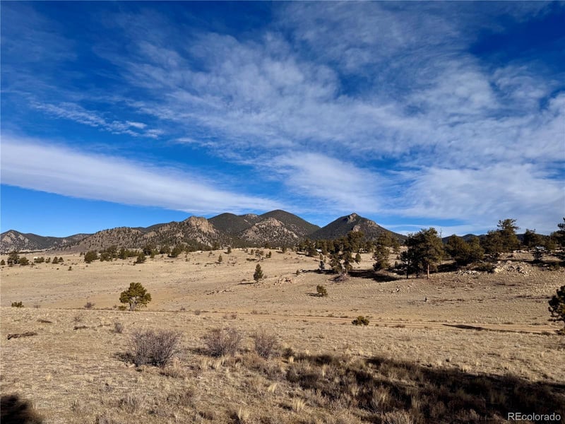 10620 Routt Rd, Lake George, CO 80449