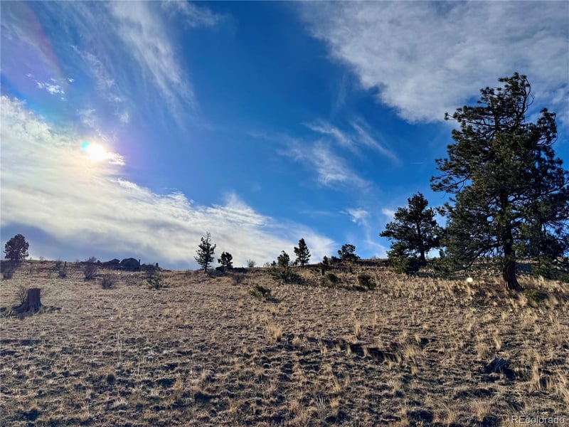 10620 Routt Rd, Lake George, CO 80449