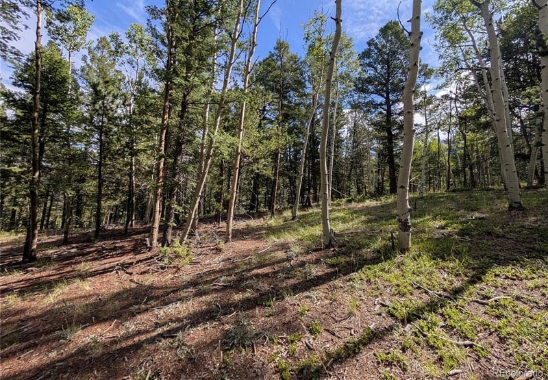 60 Fluorite Ln, Divide, CO 80814