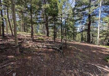 60 Fluorite Ln, Divide, CO 80814