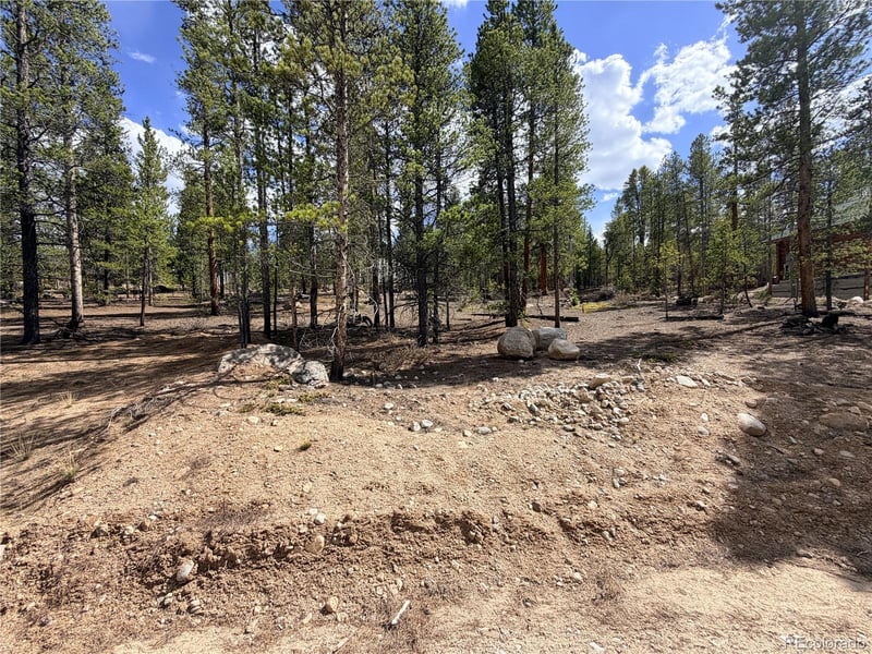 198 Juniper Dr, Twin Lakes, CO 81251