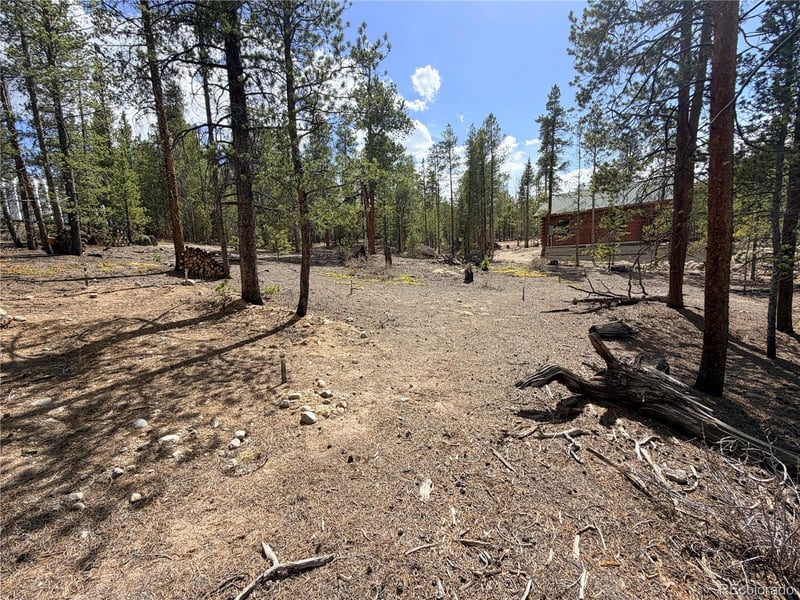 198 Juniper Dr, Twin Lakes, CO 81251