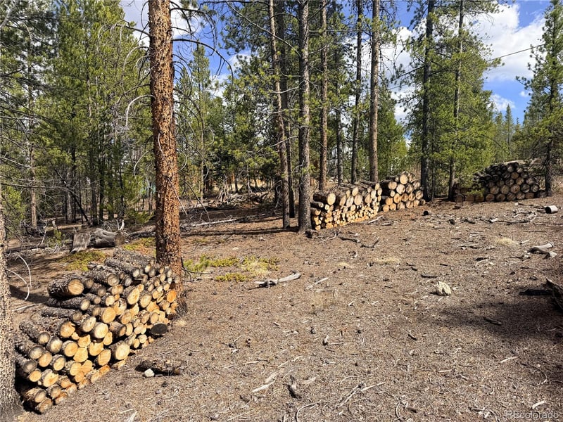 198 Juniper Dr, Twin Lakes, CO 81251