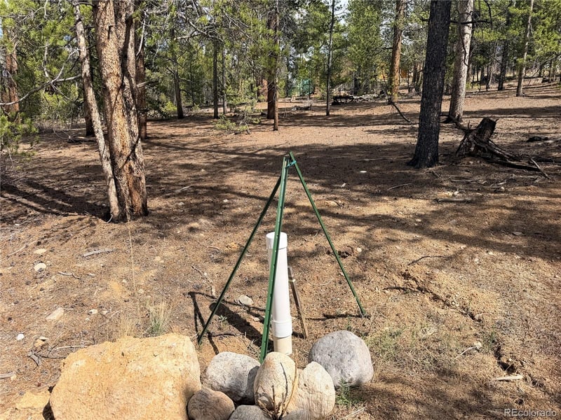 198 Juniper Dr, Twin Lakes, CO 81251