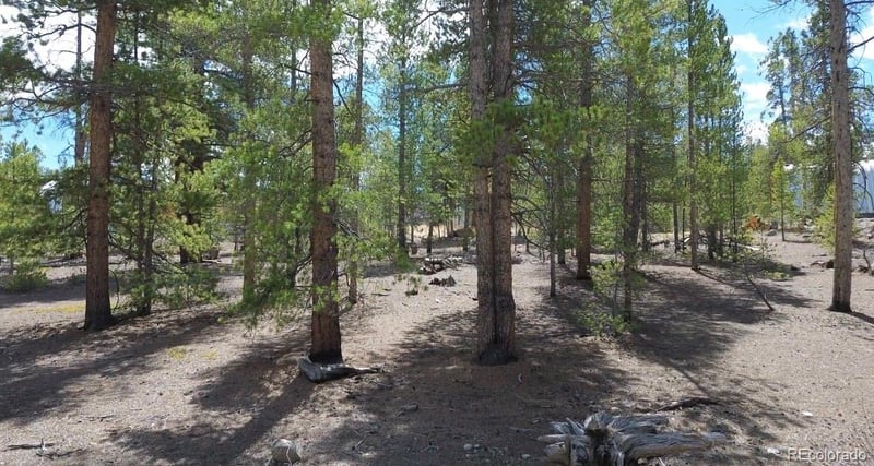 198 Juniper Dr, Twin Lakes, CO 81251