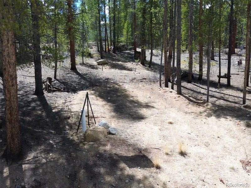 198 Juniper Dr, Twin Lakes, CO 81251