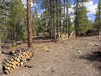 198 Juniper Dr, Twin Lakes, CO 81251