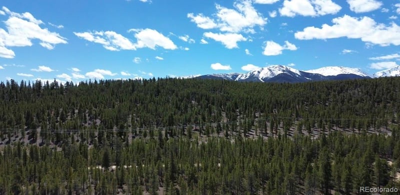 198 Juniper Dr, Twin Lakes, CO 81251