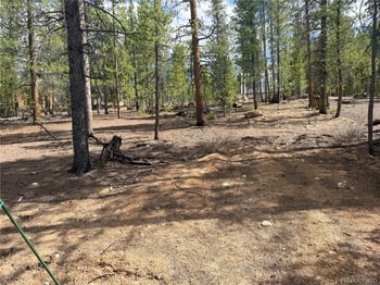 198 Juniper Dr, Twin Lakes, CO 81251