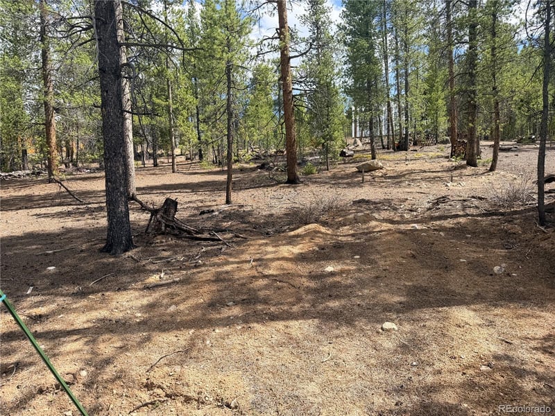 198 Juniper Dr, Twin Lakes, CO 81251