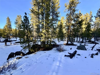 198 Juniper Dr, Twin Lakes, CO 81251