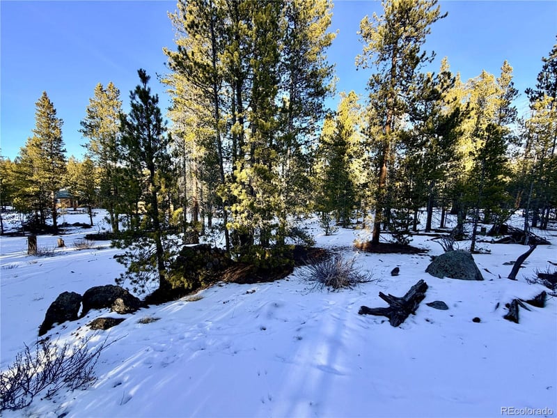 198 Juniper Dr, Twin Lakes, CO 81251