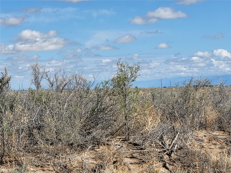 000 Meadowlark Dr, Alamosa, CO 81101