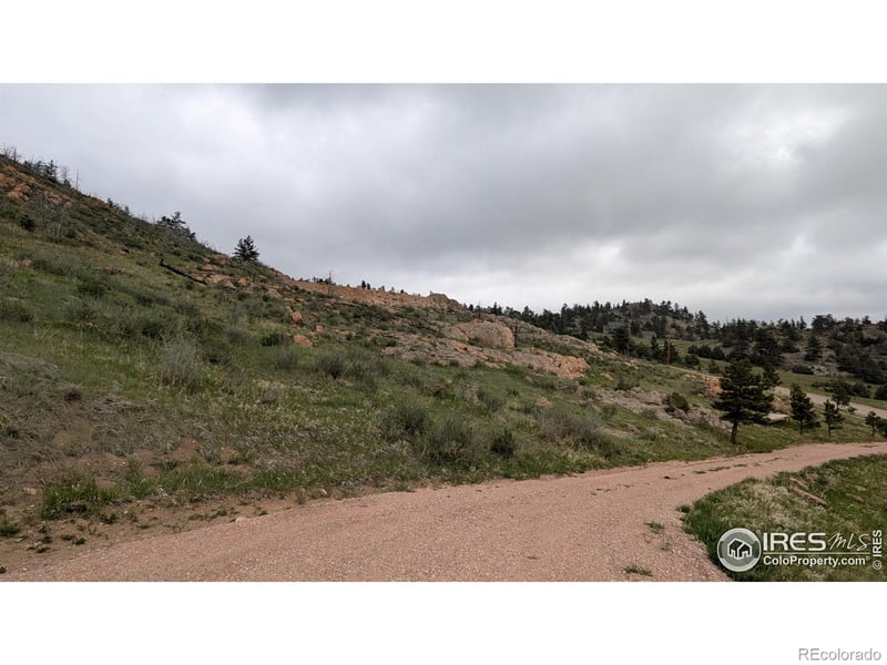 1191 Eiger Rd, Livermore, CO 80536