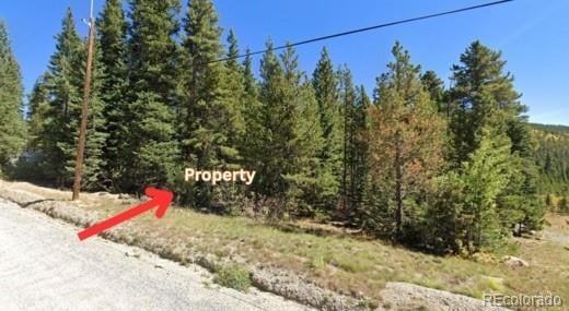 Lot 47 Silver Creek Rd, Idaho Springs, CO 80452