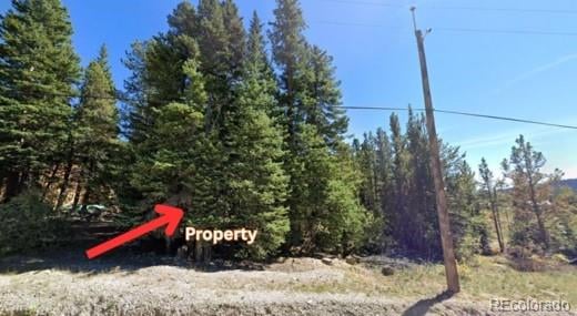Lot 47 Silver Creek Rd, Idaho Springs, CO 80452